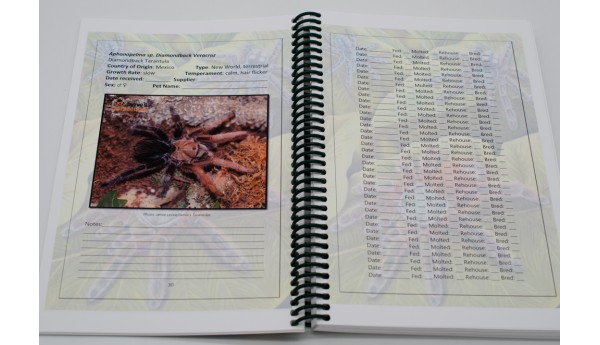 The Tarantula Keeper's Log Book - By David Albaugh