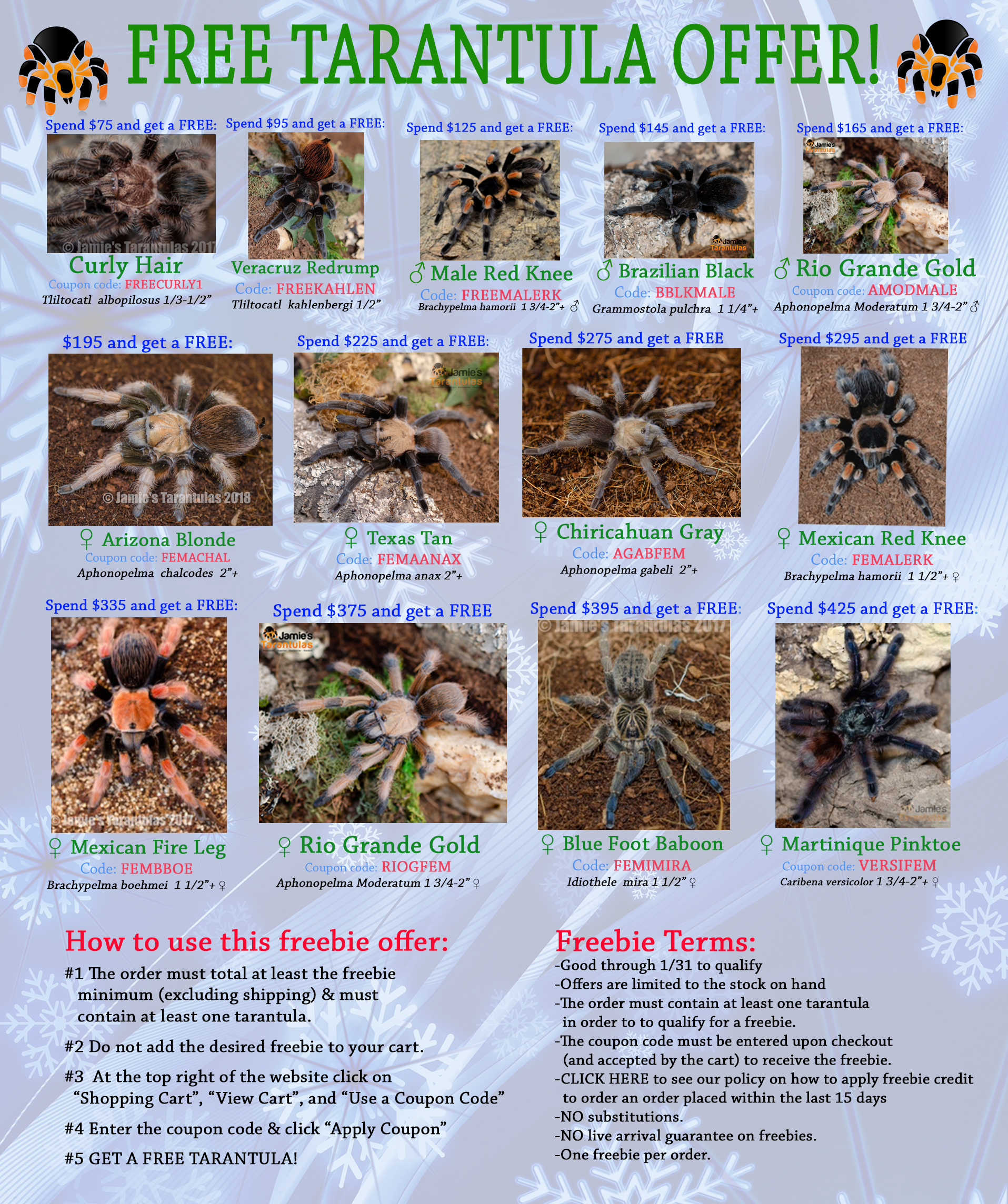Tarantula Supplies — The Tarantula Collective