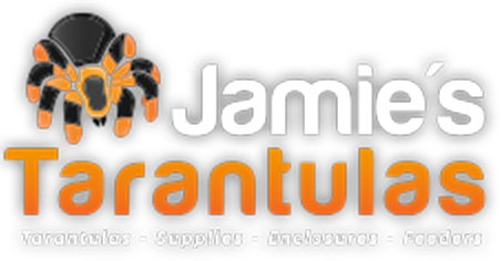 Jamie's Tarantulas